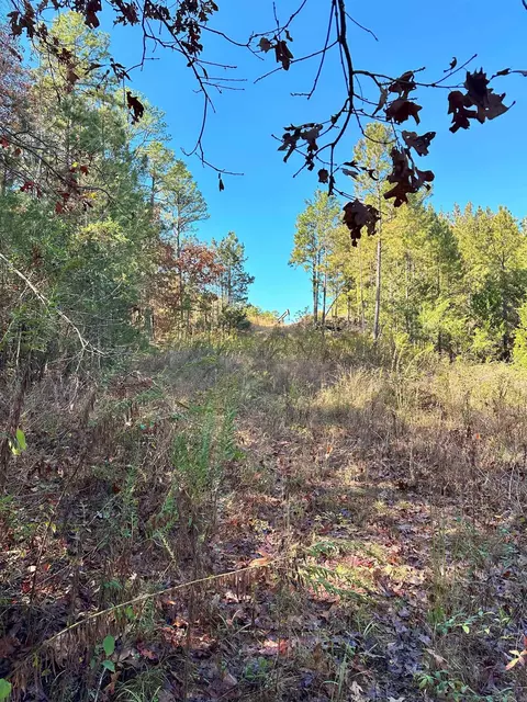 0 Peaceful Valley Rd, Dover, AR 72837 photo 13