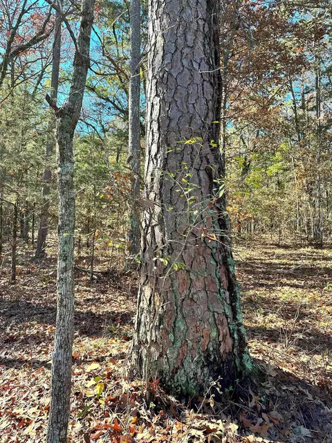 0 Peaceful Valley Rd, Dover, AR 72837 photo 15