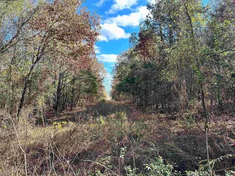 0 Peaceful Valley Rd, Dover, AR 72837 photo 5