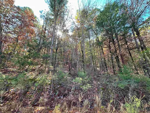 0 Peaceful Valley Rd, Dover, AR 72837 photo 7