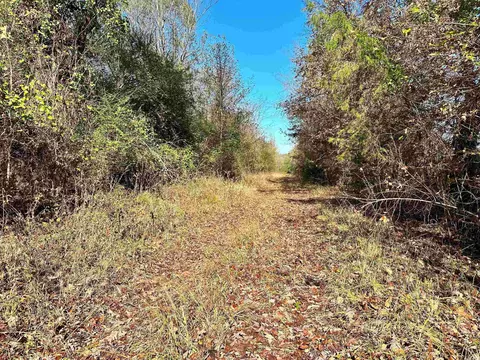 0 Peaceful Valley Rd, Dover, AR 72837 photo 17
