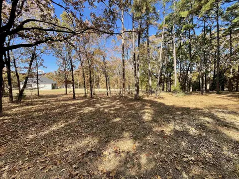265 Mill Pond Rd, Conway, AR 72034 photo 5