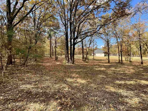 265 Mill Pond Rd, Conway, AR 72034 photo 3