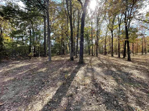 265 Mill Pond Rd, Conway, AR 72034 photo 7