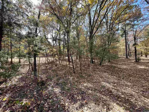 265 Mill Pond Rd, Conway, AR 72034 photo 11