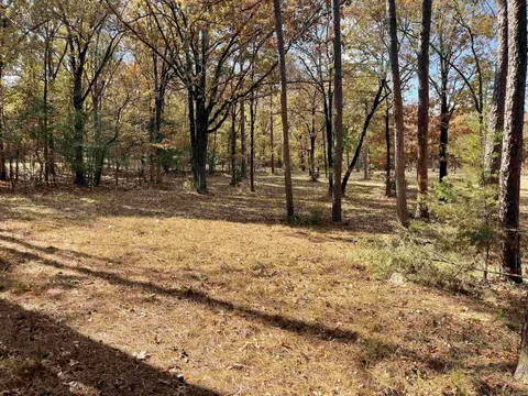 265 Mill Pond Rd, Conway, AR 72034 photo 6