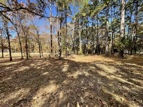 265 Mill Pond Rd, Conway, AR 72034 photo 4