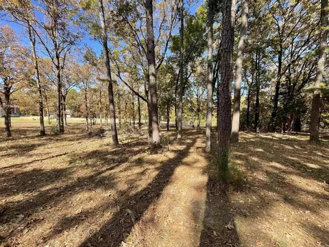 265 Mill Pond Rd, Conway, AR 72034 photo 2