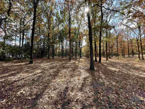 265 Mill Pond Rd, Conway, AR 72034 photo 9