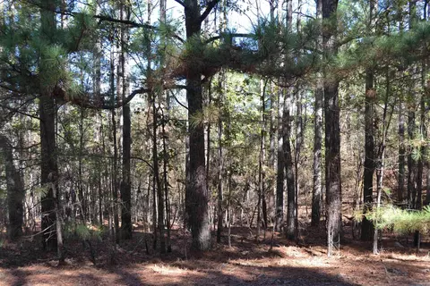 14 Piocha Ln, Hot Springs Village, AR 71909
