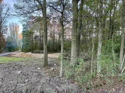 209 Arrowhead Rd, Mcrae, AR 72102 photo 13