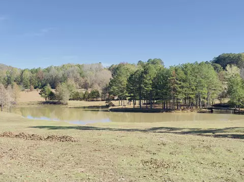 8329 Jumbo Rd, Melbourne, AR 72556 photo 30