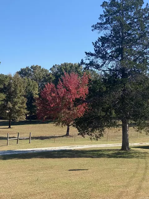 8329 Jumbo Rd, Melbourne, AR 72556 photo 45