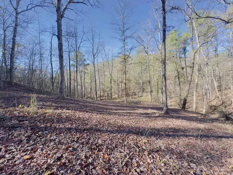 8329 Jumbo Rd, Melbourne, AR 72556 photo 40
