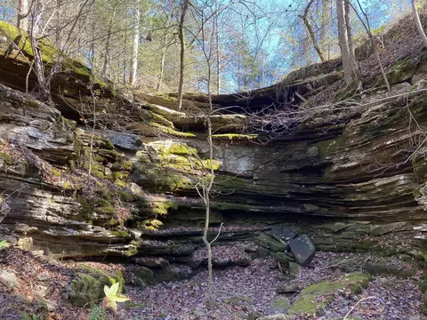 8329 Jumbo Rd, Melbourne, AR 72556 photo 10
