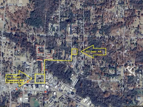 413 Cedar Ave, Mountain View, AR 72560 photo 8