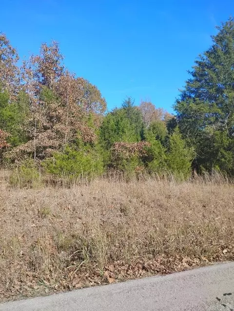 Springview, Pocahontas, AR 72455 photo 3