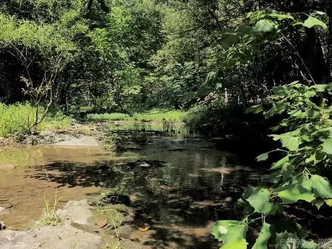 tbd Squirrel Rd, Imboden, AR 72434 photo 5