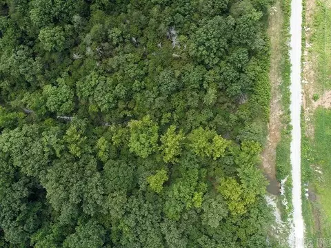 tbd Squirrel Rd, Imboden, AR 72434 photo 7