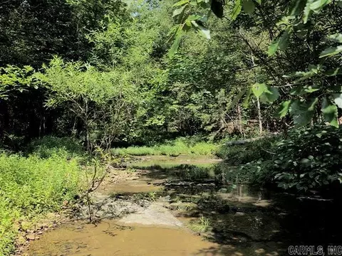tbd Squirrel Rd, Imboden, AR 72434 photo 4
