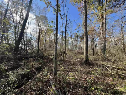 000 Palestine Rd, Pocahontas, AR 72455