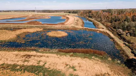 00 Burks Switch Rd, Almyra, AR 72003 photo 6