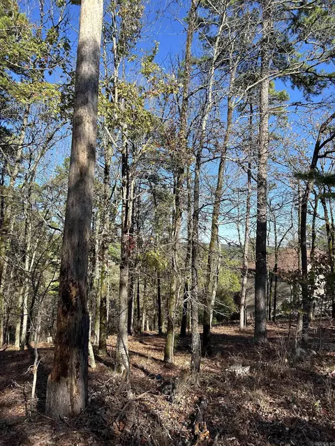 39 Pertusa Dr, Hot Springs Village, AR 71909