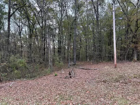 463 Rhoads Rd, Redfield, AR 72132 photo 4