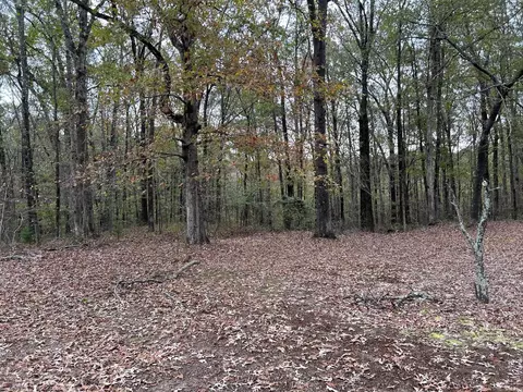 463 Rhoads Rd, Redfield, AR 72132 photo 2