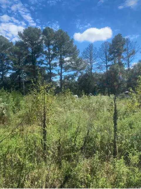 772 Bowen, Lonoke, AR 72086 photo 2