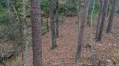 Other - 85 Weekender, Mount Ida, AR 71957 photo 11 of 14