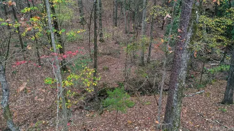View/Area - 85 Weekender, Mount Ida, AR 71957 photo 3 of 4