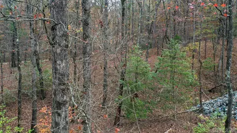 View/Area - 85 Weekender, Mount Ida, AR 71957 photo 4 of 4