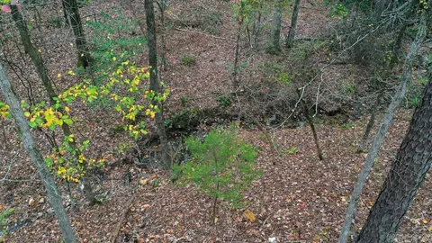 Other - 85 Weekender, Mount Ida, AR 71957 photo 12 of 14