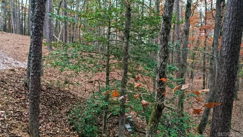 Other - 85 Weekender, Mount Ida, AR 71957 photo 10 of 14