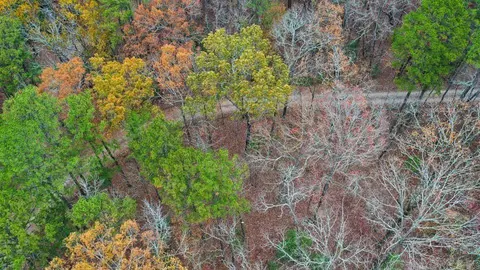 View/Area - 85 Weekender, Mount Ida, AR 71957 photo 1 of 4