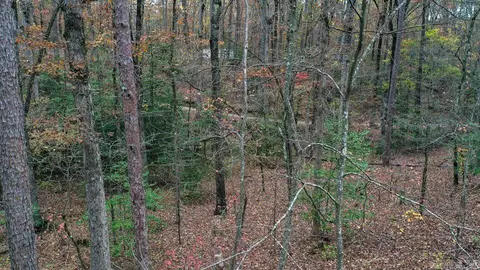Other - 85 Weekender, Mount Ida, AR 71957 photo 9 of 14