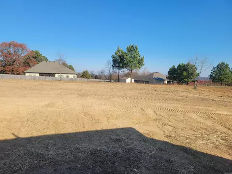 Other - 38 High Point Dr, Greenbrier, AR 72058 photo 8 of 8