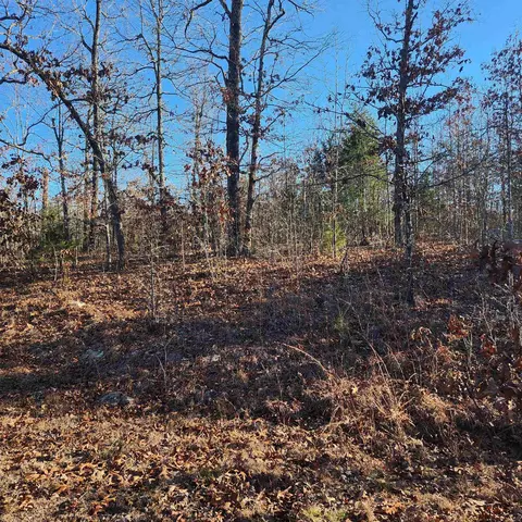 808 W Forest Hills Cir, Horseshoe Bend, AR 72512