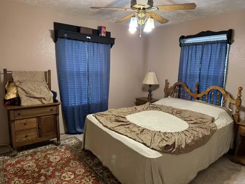 Bedroom - 687 Hyde Rd, Melbourne, AR 72556 photo 1 of 7