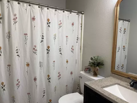 Bath - 201 Lynn Ln, Imboden, AR 72434 photo 1 of 1