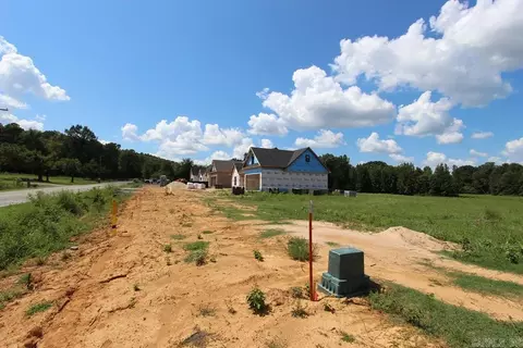 30 Round Mountain Rd, Conway, AR 72034 photo 24