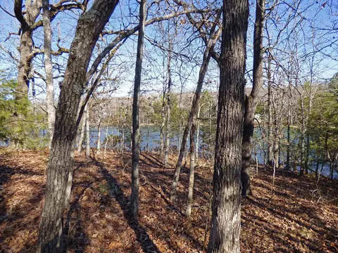 52 Isleta Dr, Cherokee Village, AR 72529