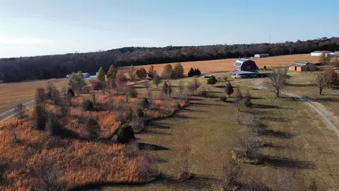 Other - 296 Rogers Rd, Romance, AR 72136 photo 10 of 12