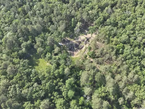 16499 Nethercutt Rd, Benton, AR 72019 photo 7