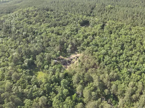 16499 Nethercutt Rd, Benton, AR 72019 photo 6