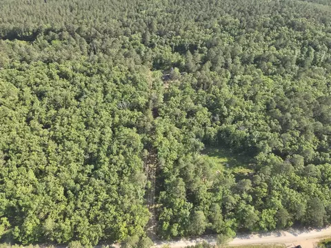 16499 Nethercutt Rd, Benton, AR 72019 photo 8