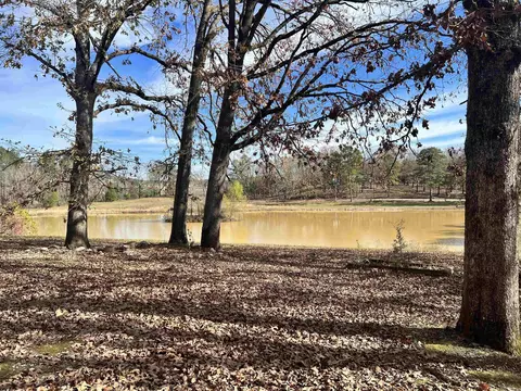 10507 Gunter Loop, Benton, AR 72019 photo 2