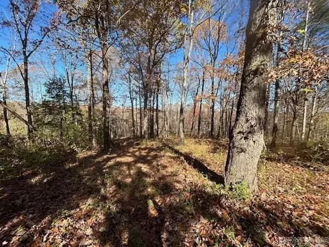 Other - 100 Foll Loop, Mountain View, AR 72560 photo 7 of 13