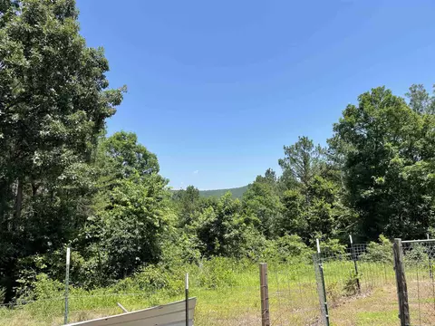 181 Sawtooth, Mountain Pine, AR 71956 photo 23